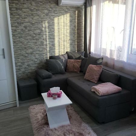 Rose Central Apartment Debrecen Dış mekan fotoğraf